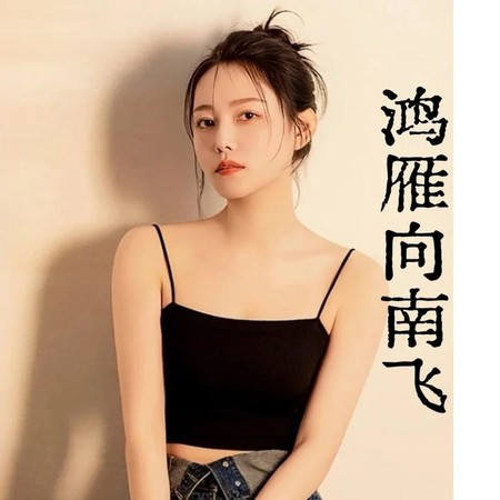 鴻雁向南飛