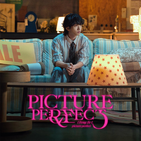 PICTURE PERFECT
