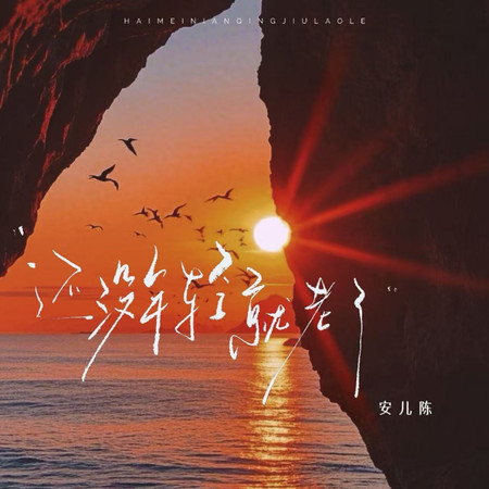還沒年輕就老了