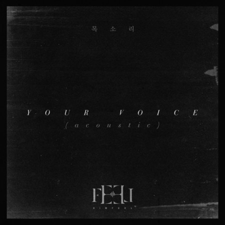 your voice (acoustic)