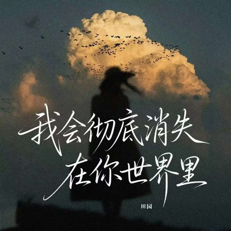 我會徹底消失在你世界里