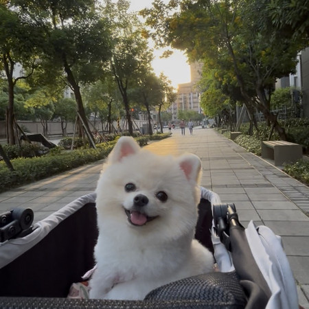 專輯封面