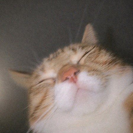 專輯封面