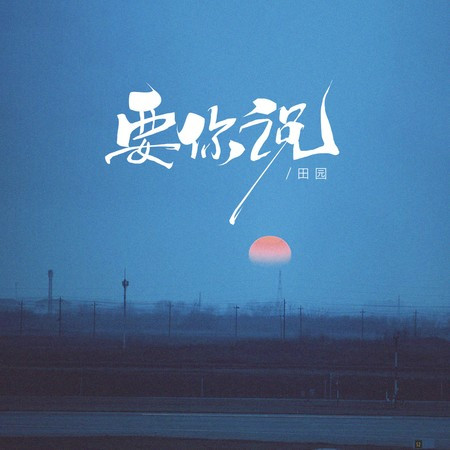 要你說