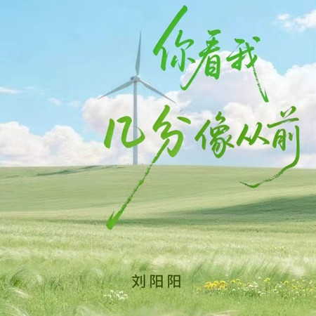 你看我幾分像從前