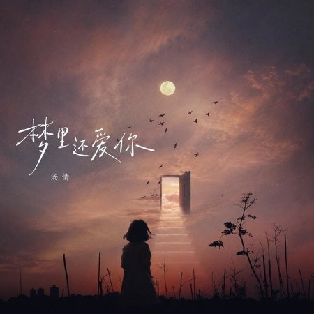 夢里還愛你