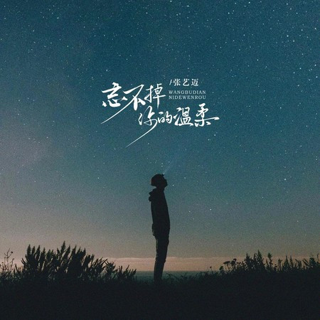 忘不掉你的溫柔