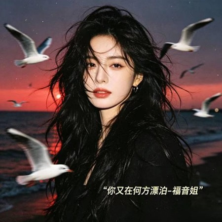 你又在何方漂泊