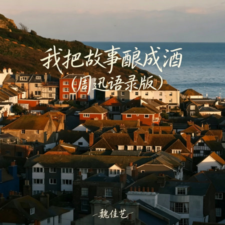 我把故事釀成酒（周迅語錄版）