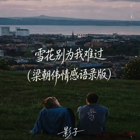 雪花別爲我難過（梁朝偉情感語錄版）