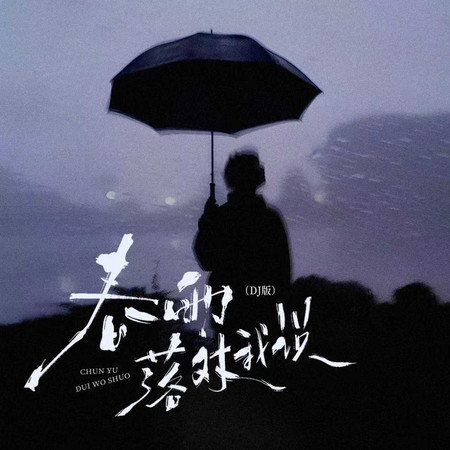 春雨落對我說（dj版）