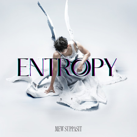 Entropy