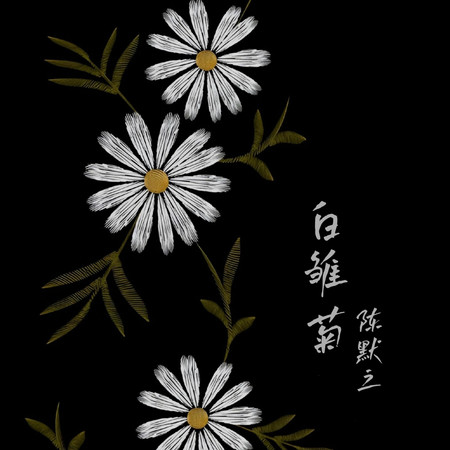 白雛菊