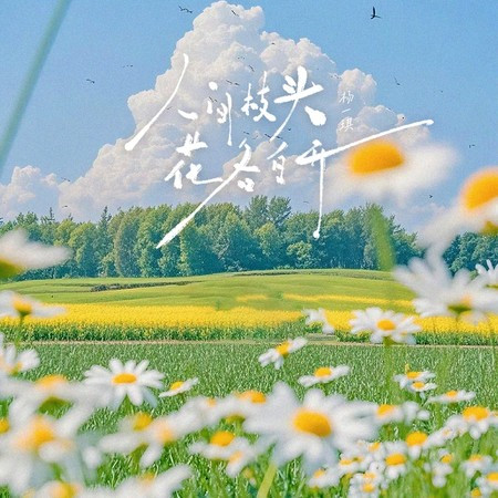 人間枝頭，花各自開