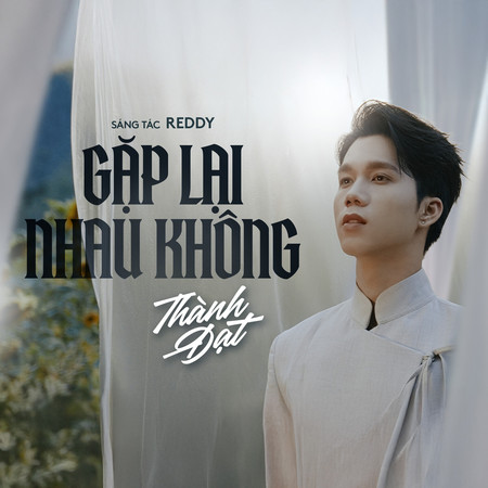 Gặp Lại Nhau Không