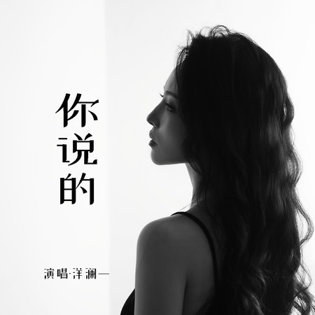 你說的