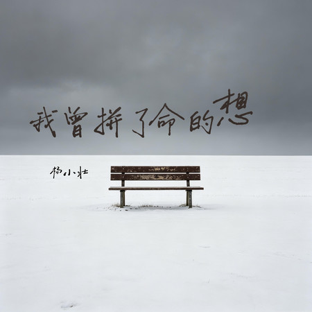 我曾拼了命的想