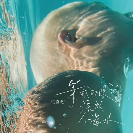 等我的眼淚流成海水