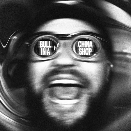 BULL IN A CHINA SHOP