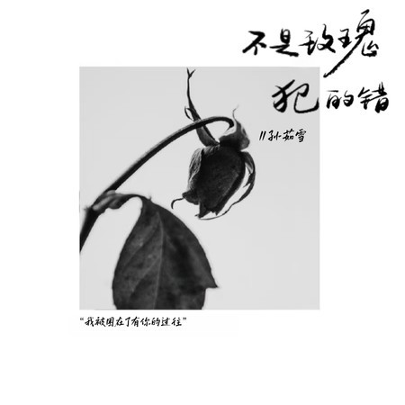 不是玫瑰犯的錯