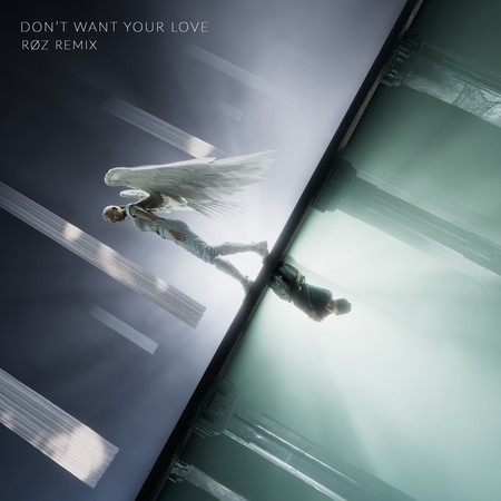 Don't Want Your Love (RØZ Remix)