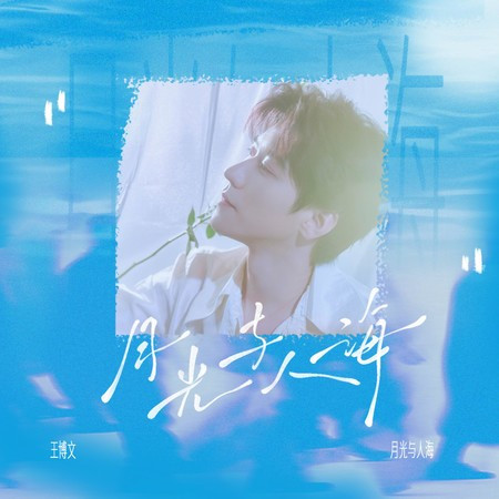 月光與人海