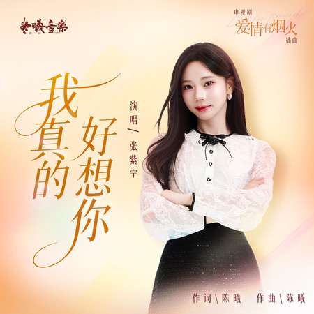我真的好想你(電視劇《愛情有煙火》插曲)