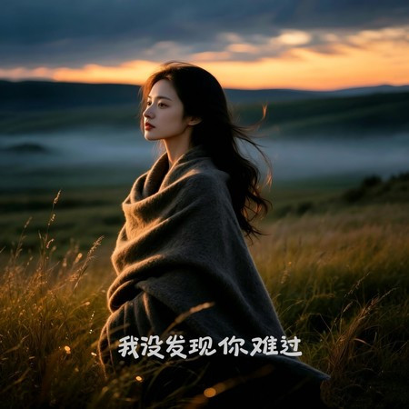 我沒發現你難過（心酸無法釋懷）