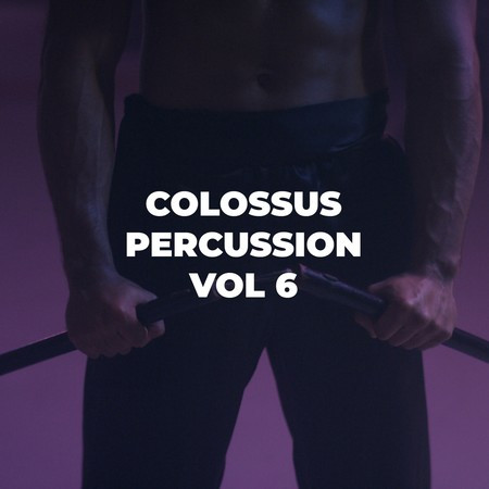 COLOSSUS PERCUSSION VOL 6