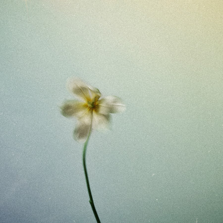 Shelter