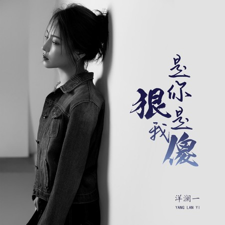 是你狠是我傻 (DJ版)