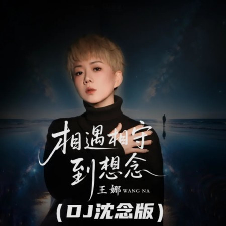 相遇相守到想念 (DJ沈念版)