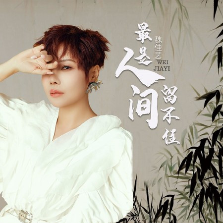 你有沒有真的愛過我（最是人間留不住）