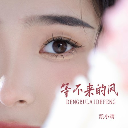 等不來的風