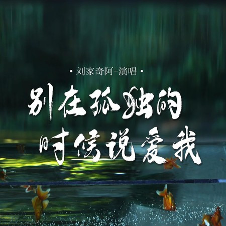 別在孤獨的時候說愛我