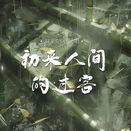 初來人間的過客