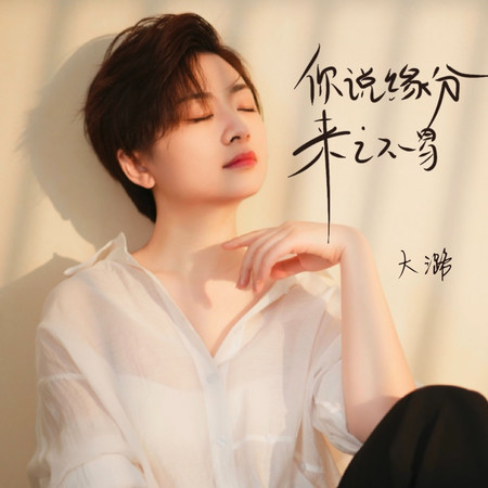 你說緣分來之不易（傷感版）