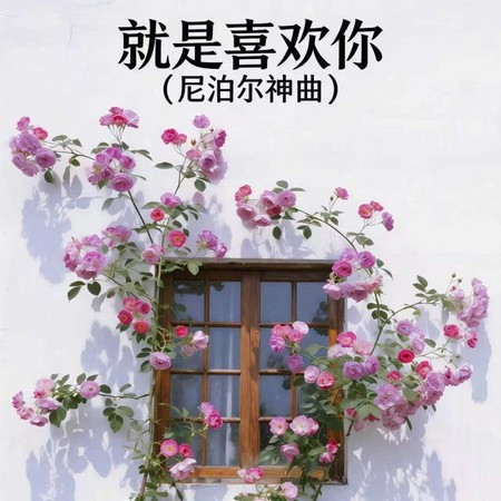 就是喜歡你