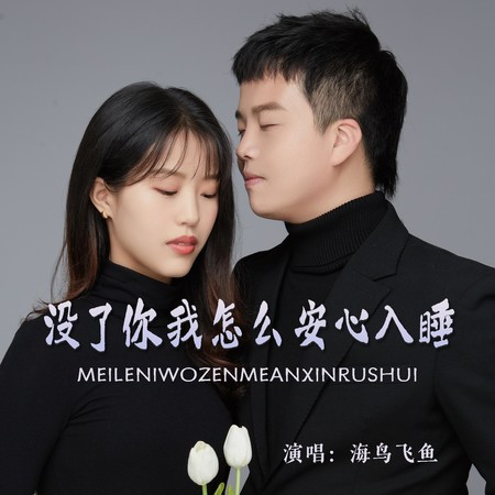 沒了你我怎麽安心入睡
