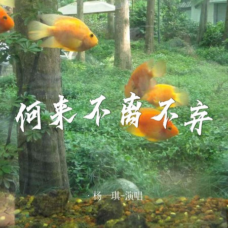 專輯封面