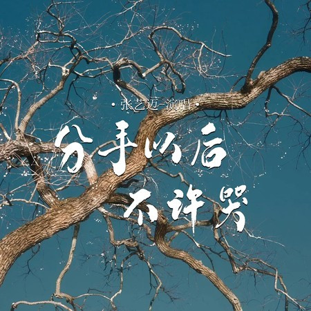專輯封面