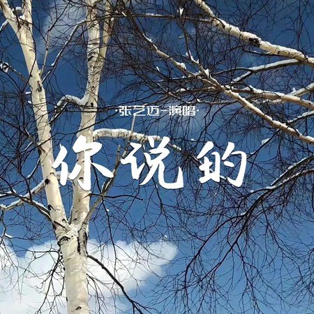 專輯封面