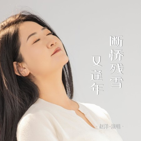 斷橋殘雪又逢年