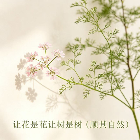 專輯封面
