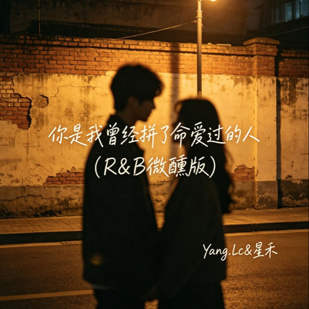 你是我曾經拼了命愛過的人(R&B微醺版)