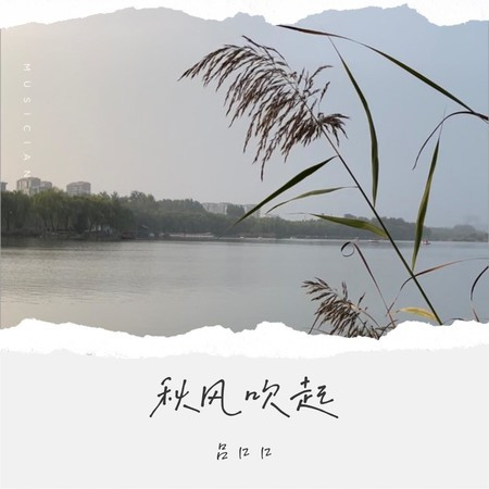 秋風吹起