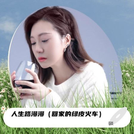 人生路漫漫（迴家的綠皮火車）