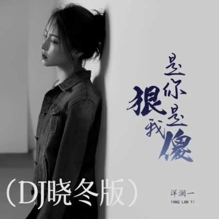 是你狠是我傻 (DJ曉冬版)