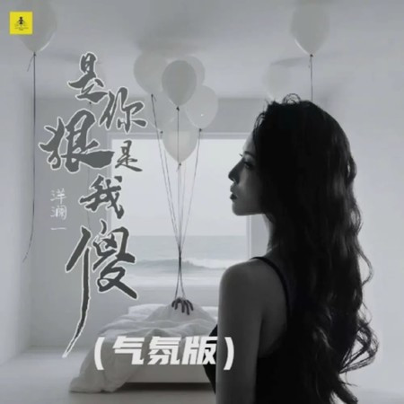 是你狠是我傻 (氣氛版)