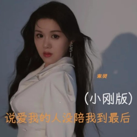 說愛我的人沒陪我到最後 (小剛版)